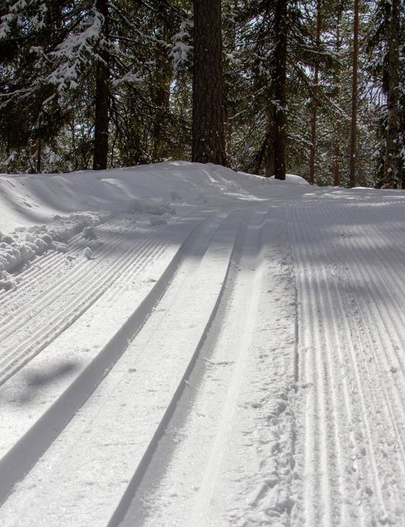 Una pista da sci di fondo