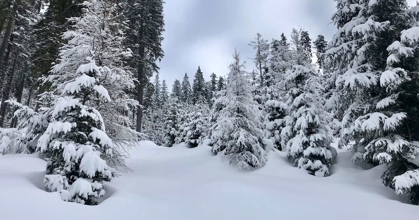 Die winterliche Natur genießen