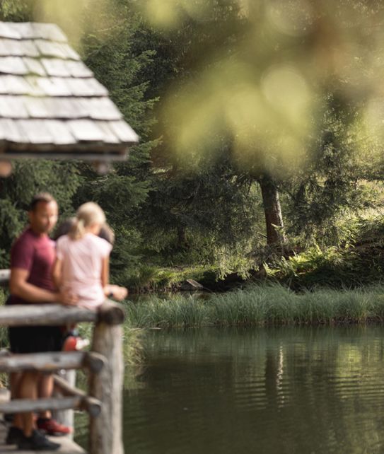 Sommer im Antholzertal