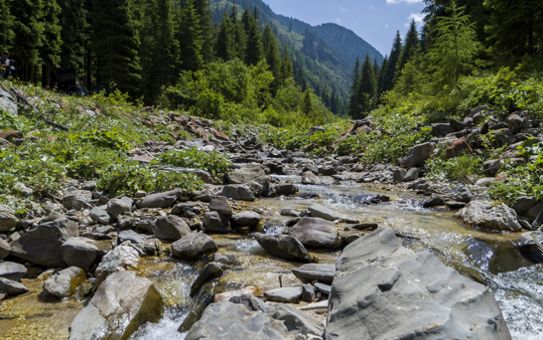 Discover Nature