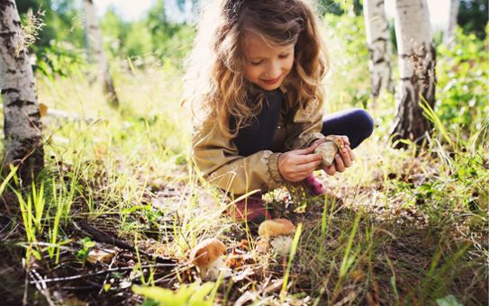 Bambina che cerca funghi