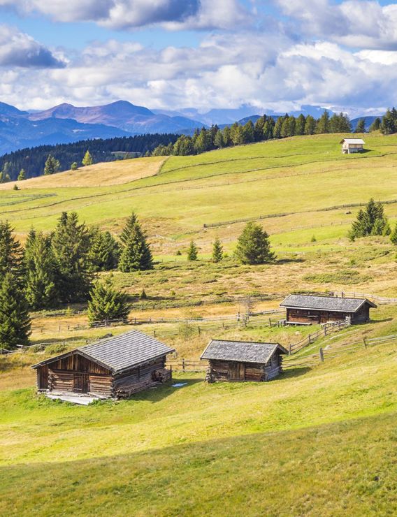 Estate in Val Pusteria